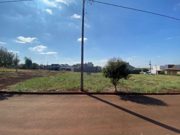 Terreno - Venda - Residencial Aury Motter - Palotina - PR