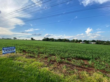 Chcara - Venda - Distrito de So Camilo - Palotina - PR