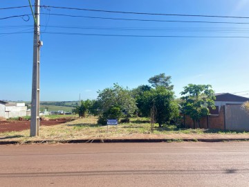 Terreno - Venda - Loteamento Terra Nostra - Palotina - PR