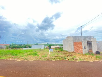 Terreno - Venda - Jardim Califrnia - Palotina - PR