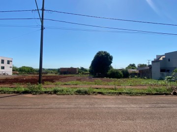 Terreno - Venda - Loteamento Ritter - Palotina - PR